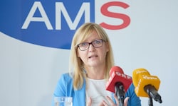 AMS-Chefin Sandra Kern hat eingelenkt, die Förderungen für Projekte wie Eibetex werden gekürzt, ...