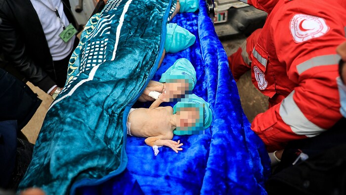 Vorbereitungen auf den Transport nach Ägypten