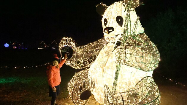 300 Lichtobjekte und Installationen warten auf dem eineinhalb Kilometer langen Rundweg bei Lumagica. (Bild: Jauschowetz Christian)