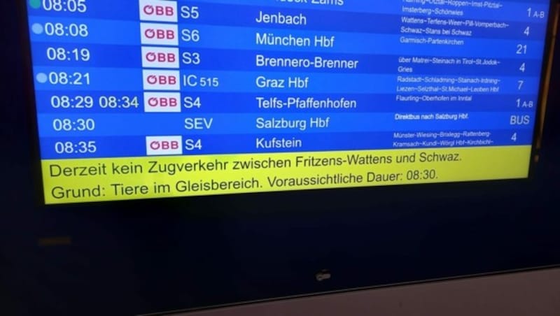 Die Reisenden wurden an den Bildschirmen am Bahnhof informiert. (Bild: Manuel Schwaiger)