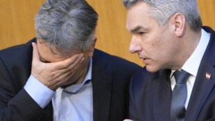Vize Kogler und Kanzler Nehammer: Ist die Regierung besser als ihr Ruf? 