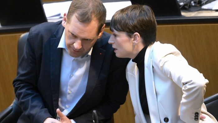 SPÖ-Abgeordneter Philip Kucher und die Grüne-Klubchefin Sigrid Maurer