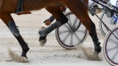 Der Drogenskandal erschüttert die Pferderennsportszene. (Bild: Dostal Harald)