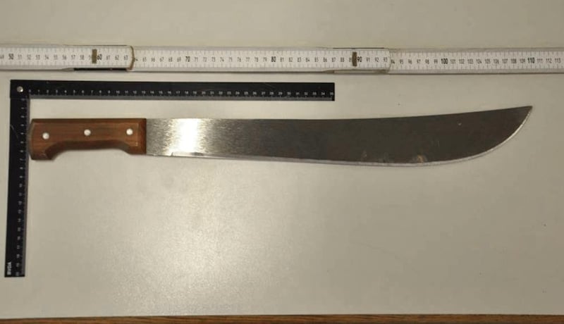 Mit einer solchen Machete wurde das Opfer regelrecht zerstückelt. (Bild: LPD)