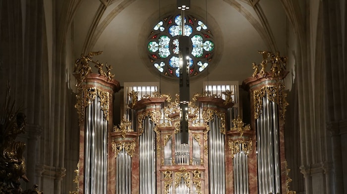 Die wunderbare Domorgel.