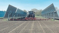 Wie in Wallern und Tadten setzt die Burgenland Energie auch in Güssing auf ein Agri-PV-Projekt. (Bild: EWS Consulting, EWS Sonnenfeld)