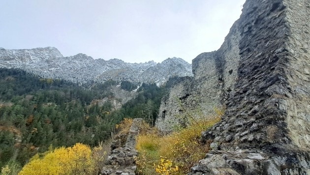 Die Überreste der einstigen Burg Schalun sind mitten im Wald zwischen Schaan und Vaduz zu finden. (Bild: Bergauer)