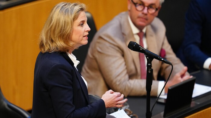 NEOS-Chefin Meinl-Reisinger wirft den ÖVP-Politikern Falschaussagen vor.