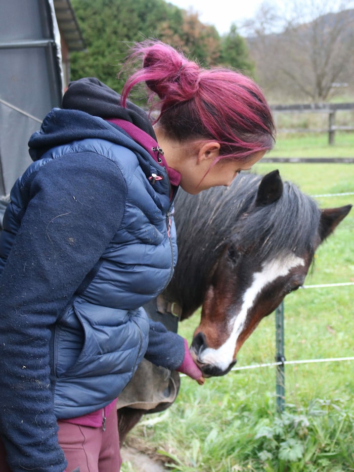 Bald darf der kleine Rubin mit Ponywallach Amadeus Freundschaft schließen.