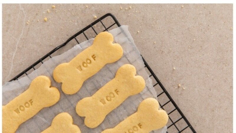 Hundekekse selbstgemacht. (Bild: Alessandra Vicario)