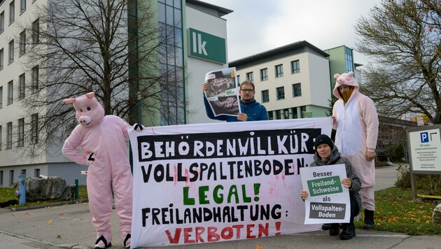 Gegen Räumung: Demo vor der Bauernkammer in St. Pölten (Bild: Molnar Attila)