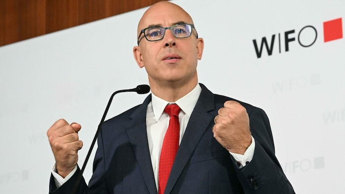 Wifo-Chef Gabriel Felbermayr