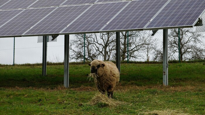 The dual use of areas in the sense of agri-PV systems is made possible