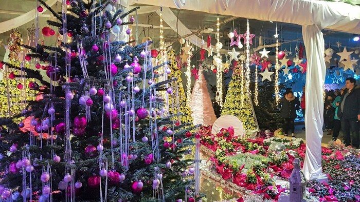Die Blumengärten Hirschstetten verwandeln sich in ein Weihnachtsparadies.