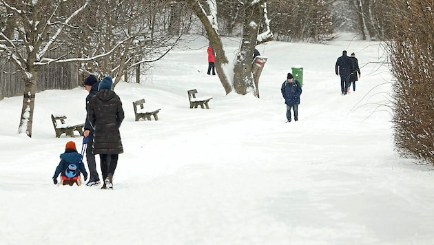 Im Vorjahr überraschte der Schnee im Jänner. (Bild: Martin Jöchl)