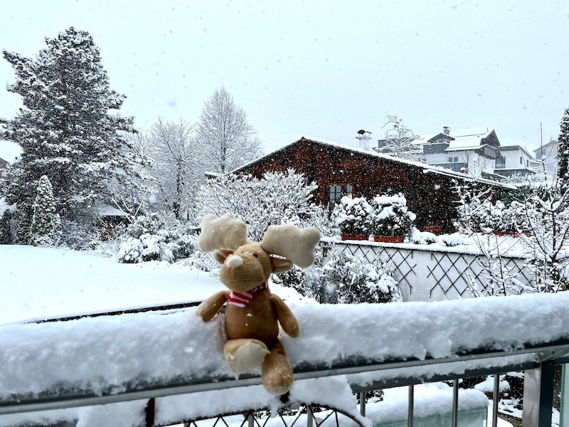 Auch in Rum bei Innsbruck erwachten Mensch und (Stoff-)Tier am Samstag zu weißer Pracht. (Bild: Claudia Thurner)