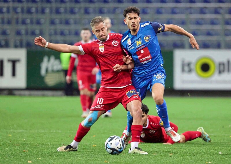 Bild mit Symbolcharakter: Horns Mulahalilovic checkte St. Pöltens Messerer aus der Arena. (Bild: GEPA pictures)