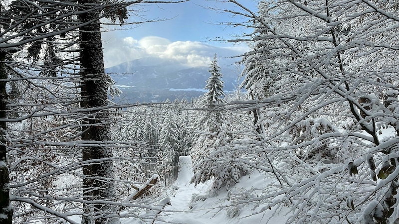 Blick über das verschneite Innsbruck (Bild: Markus Gassler)