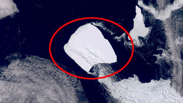 Der Eisberg A23a (rot markiert) driftet immer rascher aus antarktischen Gewässern in Richtung des Atlantiks. (Bild: ESA/Copernicus/Senitnel, krone.at-Grafik)