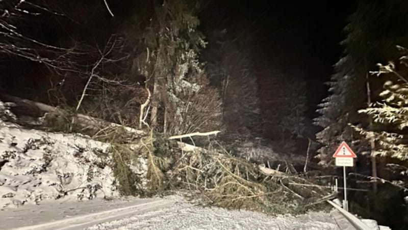 In Scheffau stürzten Bäume auf die Hintersteiner-See-Straße. (Bild: zoom.tirol)