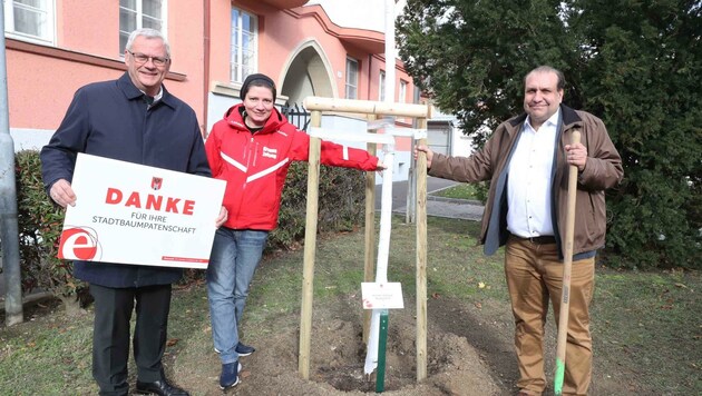 Die „Krone“ als Baumpate in Eisenstadt: Bürgermeister Thomas Steiner gemeinsam mit Marketing- Mitarbeiterin Ramona Marinits und Redaktionsleiter Philipp Wagner. (Bild: Judt Reinhard)