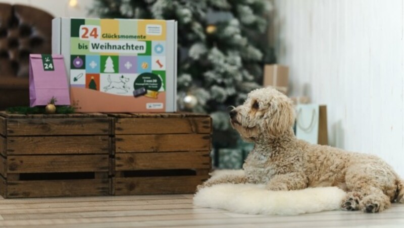 Bei „Fressnapf“ denkt man in der Adventszeit natürlich auch an Tiere. (Bild: Fressnapf)