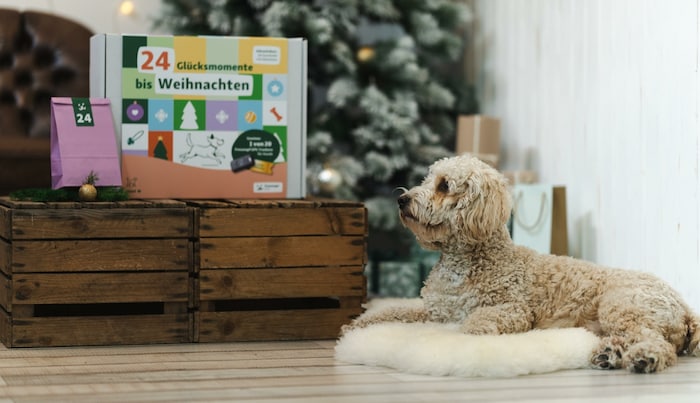 Bei „Fressnapf“ denkt man in der Adventszeit natürlich auch an Tiere.