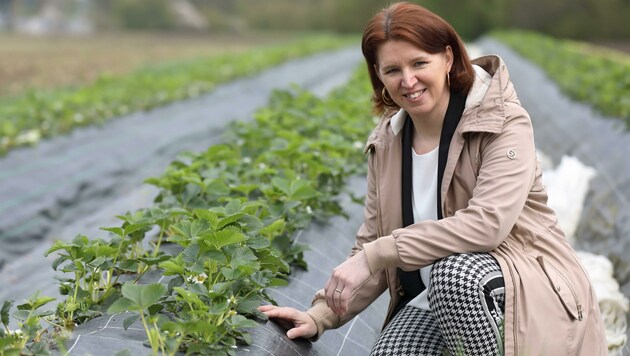 Langer-Weninger mahnt Ressourcenschutz ein. (Bild: Land OÖ, Kauder)