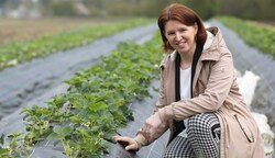 Langer-Weninger mahnt Ressourcenschutz ein. (Bild: Land OÖ, Kauder)