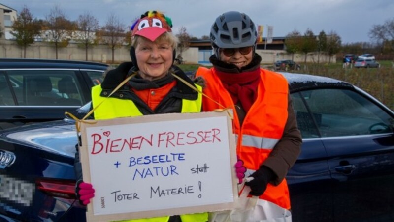 Die Bienenfresser sind in einer Wand auf der gegenüberliegenden Seite der Straße beheimatet. (Bild: Charlotte Titz)