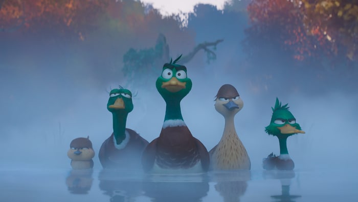 Zwischenstopp New York: Hier leben bekanntlich die buntesten Vögel.