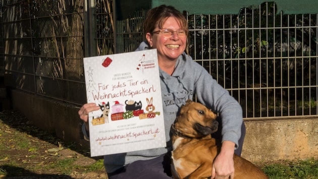 Große Freude bei Hund und Tierärztin: Ein paar Weihnachtspäckchen sind schon angekommen! (Bild: RFR)