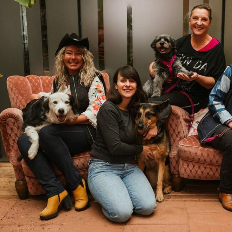 Susanne Schützinger mit Benji, Daniela Ranftler mit Jessy und Manuela Prirsch mit Ziri (Bild: footprints-fotografie)