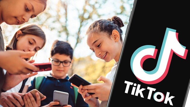 TikTok ist mittlerweile eine der beliebtesten Plattformen im Internet. Auch Schulen wollen die Vorteile davon nutzen! (Bild: Krone KREATIV)