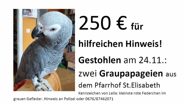 Mit diesem Plakat sucht der Pfarrer nach den Vögeln und setzt einen Finderlohn aus