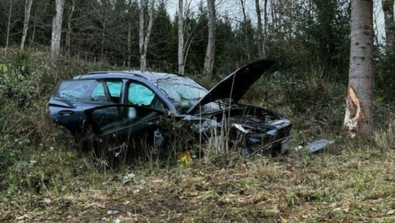 Der Lenker wurde schwerstverletzt aus dem Wrack befreit. (Bild: BFK Klagenfurt-Land)