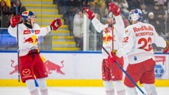 Jubel bei Red Bull Salzburg (Bild: GEPA pictures)