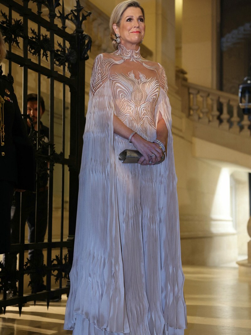 Das Kleid setzte Transparenz und Stickereien perfekt ein und ließ die niederländische Königin wie eine Elfe erscheinen. (Bild: APA/AFP/Thomas SAMSON)