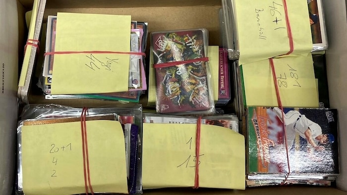 Falls Sie Gegenstände erkennen, die nie bei Ihnen angekommen sind, melden Sie den Verlust der ...