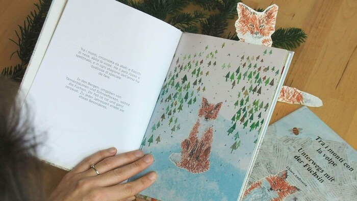 Die 28 Seiten sind im Collage-Stil illustriert, die zweisprachigen Texte regen die Fantasie der ...