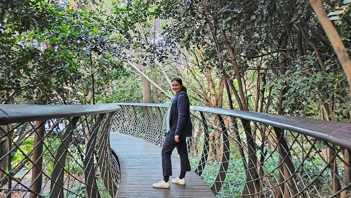 Einer der schönsten botanischen Gärten der Welt ist in Kirstenbosch.