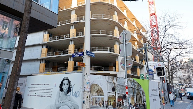 Der Rohbau steht. Aber jetzt geht nichts mehr weiter. Das geplante Mega-Kaufhaus trägt den Namen des Hollywood-Stars aus Wien, Hedy Lamarr (im Bild links unten). (Bild: klemens groh)