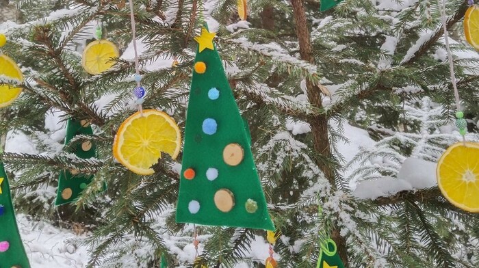 Umhauser Kinder schmücken lebende Bäume am Steppsteig weihnachtlich.