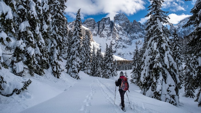 Auch Skifahrer und Skitourengeher sollten gewarnt sein: Die Gefahr von Schneebrettlawinen ist am ...