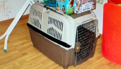 In diesem Hundekäfig wurde das Kind oft - über viele Stunden hindurch - leicht bekleidet, in Eiseskälte, gefangen gehalten. Es war dabei meist gefesselt und geknebelt. (Bild: zVg)
