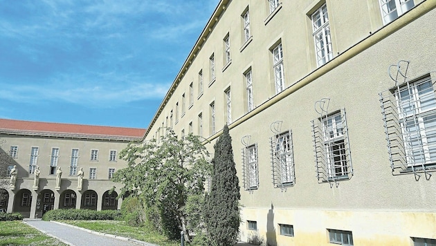 Im Landesgericht Krems müssen der angesehene Akademiker und seine Frau auf der Anklagebank Platz nehmen. (Bild: Patrick Huber)