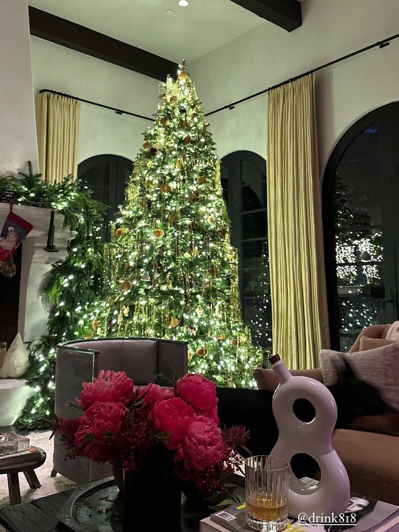 Kendalls Baum ist mit vielen goldenen Christbaum-Kugeln geschmückt. (Bild: https://www.instagram.com/kendalljenner)