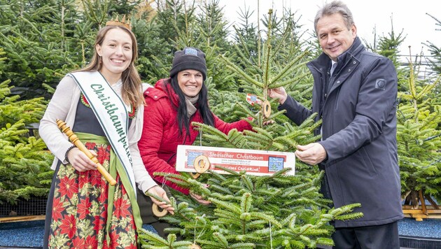 Christbaum-Prinzessin Martina, Obfrau Martina Lienhart und Landwirtschaftskammer-Präsident Franz Titschenbacher (Bild: LK Steiermark/Foto Fischer)