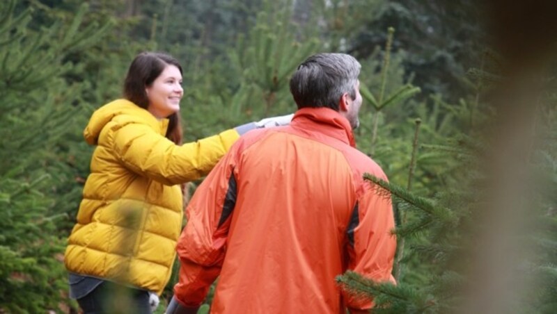 Gemeinsam einen Baum aussuchen, hat in Kärnten bei vielen Tradition. (Bild: Hronek Eveline)