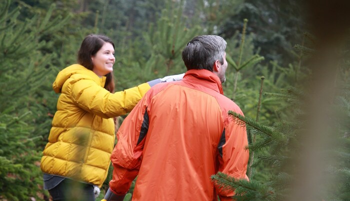 Gemeinsam einen Baum aussuchen, hat in Kärnten bei vielen Tradition.